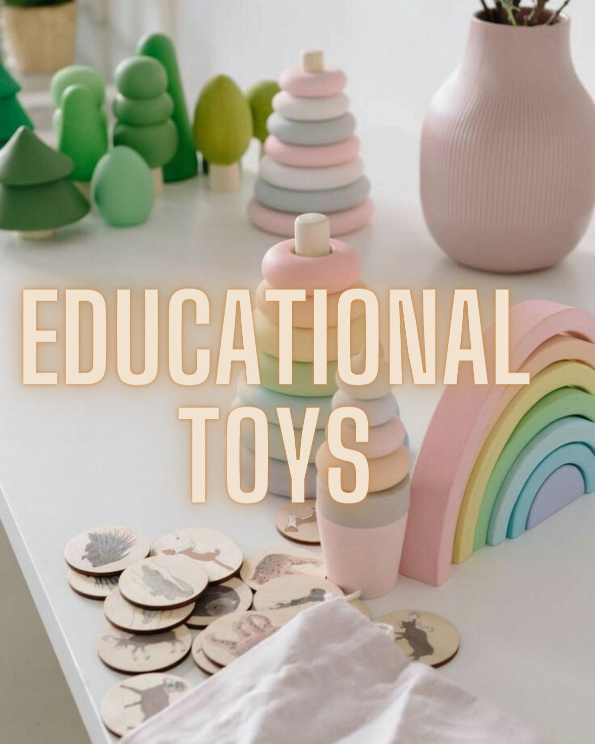 EDUCATIONAL TOYS